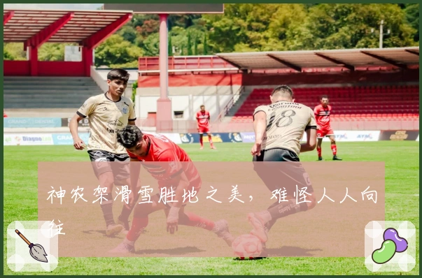 神农架滑雪胜地之美，难怪人人向往