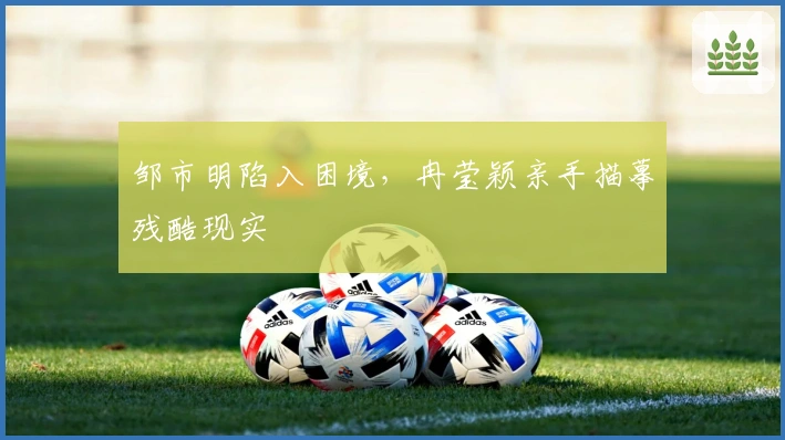 邹市明陷入困境，冉莹颖亲手描摹残酷现实