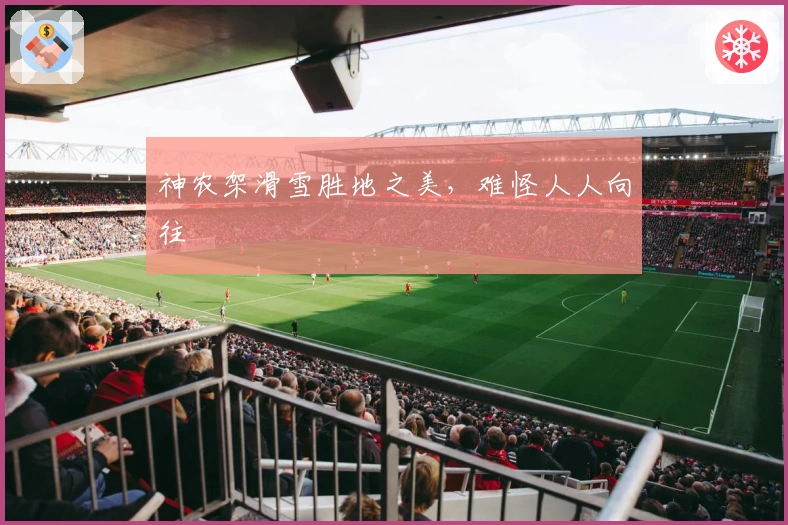 神农架滑雪胜地之美，难怪人人向往