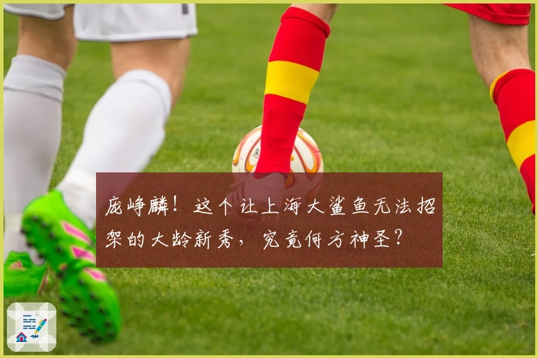 庞峥麟！这个让上海大鲨鱼无法招架的大龄新秀，究竟何方神圣？